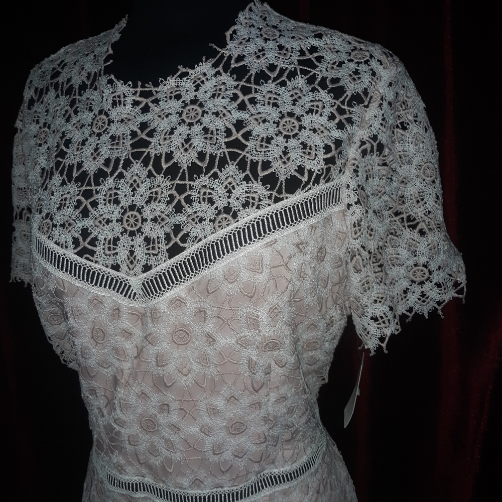 New Tags Saylor Anthropologie Lille Pink Lace Spring Dress L - Picture 8 of 9